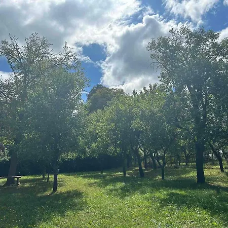 Buekkrosehill Apartment