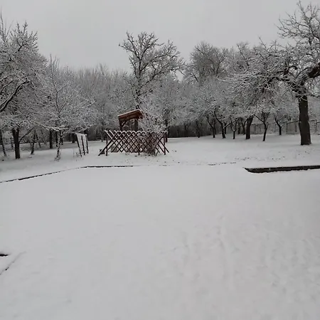 Buekkrosehill Apartment Bukkmogyorosd